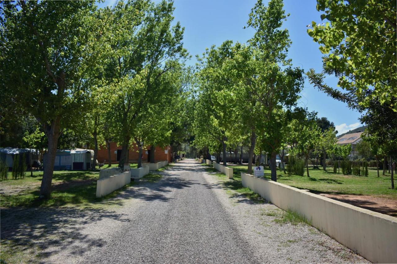 Camping Bungalows Sol D'Or Peñíscola Extérieur photo